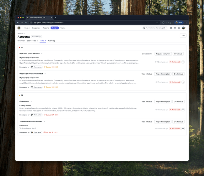 Initiative entity tasks